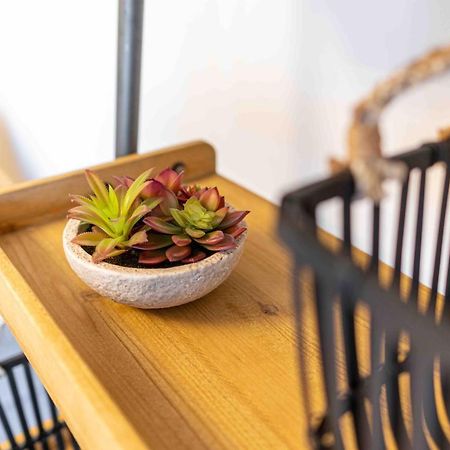 Apartment Elbkiez - Zentrale Lage In Дрезден Екстериор снимка